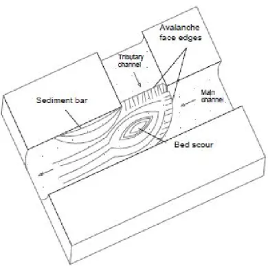 Figure 1.2: Schematized figure conceptual model of the bed morphology in a confluence zone proposed by Best (1985)