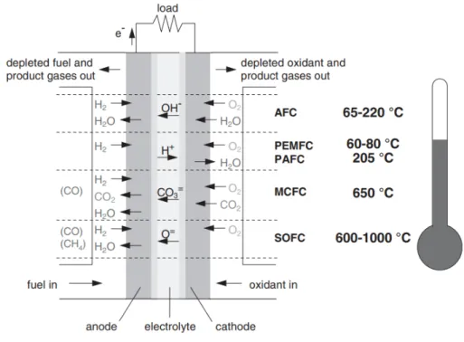 Figure 2.2: Overview of fuel cell types [27]
