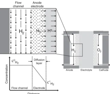 Figure 2.3: Concentration difference in diffusion layer [29]