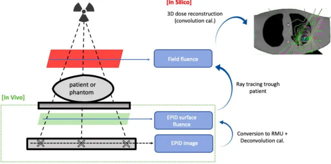 Figure 6. Schematic diagram of EPID-based 3D in-vivo dose reconstruction. Image source: personal  collection