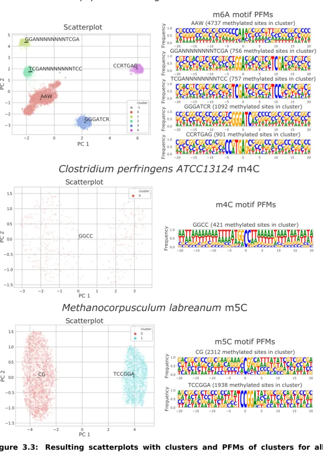 Figure 3.3: Resulting scatterplots with clusters and PFMs of clusters for all methylations of a certain type for one organism (as indicated by the titles above the plots)