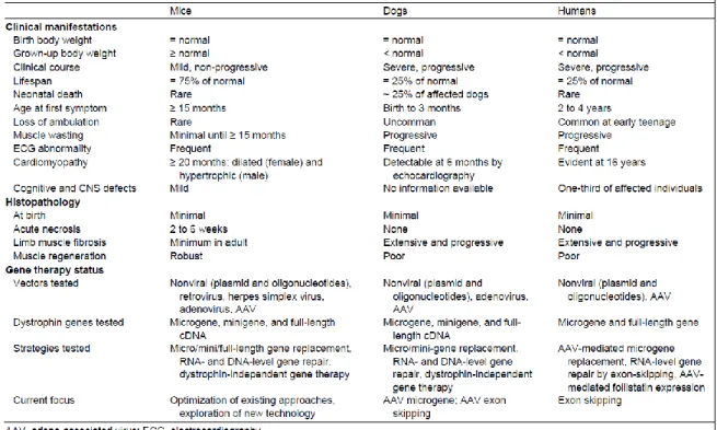 Table 1 - Comparison of disease severity and gene therapy status in mice, dogs and humans 1