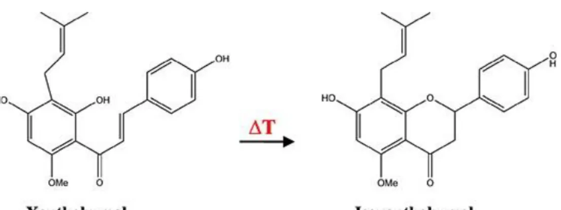 Figure 11: Structural formula of the major hard resins component xanthohumol and isomerisation reaction to  isoxanthohumol (Almaguer et al., 2014) 