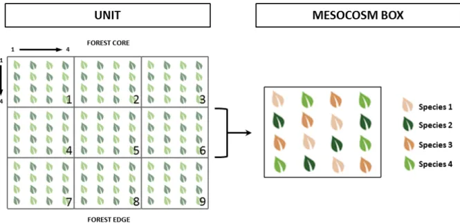 Figure 9: On the left side, representation of an experimental unit consisting of nine mesocosm boxes; on the right side, representation of one mesocosm box consisting of four individuals of four different species.