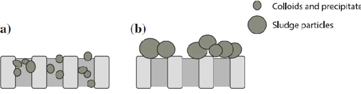 Figure 10: Membrane fouling in an MBR by a) pore clogging or b) cake deposition (Meng et al., 2009) 