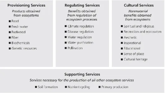 Figuur 1: Indeling van ecosysteemdiensten volgens het MA (2003). Er worden vier categorieën onderscheiden: voorziend  (Provisioning Services), regulerend (Regulating Services), cultureel (Cultural Services) en ondersteunend (Supporting  Services) (MA, 2003