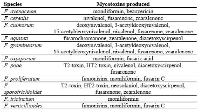 Table 2: Mycotoxin production by Fusarium species (Stanciu et al., 2015)