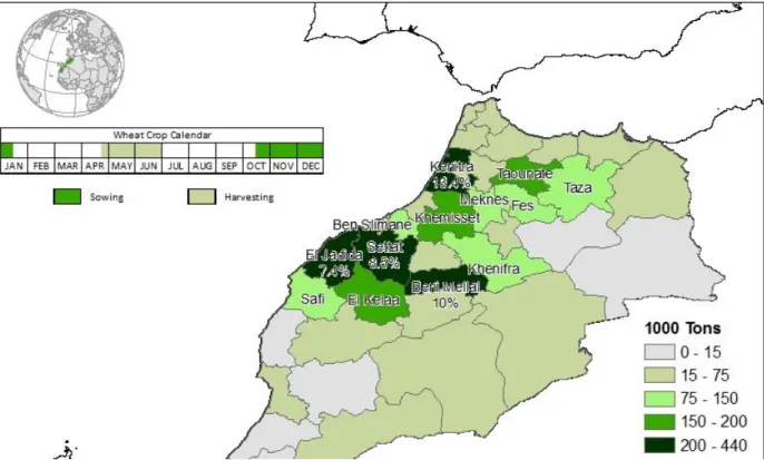 Figure 5: Moroccan wheat production (Purcell, 2011)