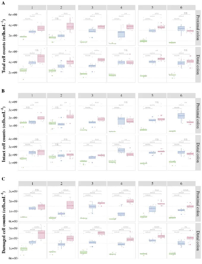 Figure 10 Cell counts (cells.mL -1 ) A) total B) intact and C) damaged cell counts in function of the SHIME  transit regime,  separated  per  donor  and  colon  compartment,  averaged  over  5  days  of  stable  operation  (n=5)