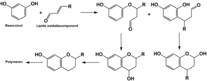Figuur 2.7: Reactie tussen polyfenolen en carbonylverbindingen uit vetzuuroxidatie. 