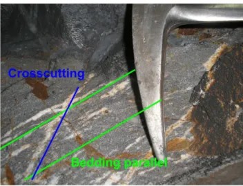 Figure 12:  Bedding-parallel and crosscutting veins in sandy  host-rock (70 m from entrance B23) 