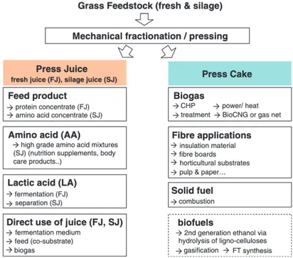 Figure 1: General products from a green biorefinery. The press cake can be used to produce biogas and fuel a  combined heat and power plant or after treatment it can be utilised as a compressed natural gas to fuel vehicles