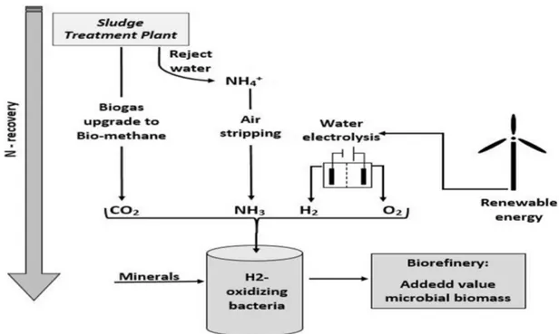 Figure 6: The Power-To-Protein power principle (“About – Power to Protein,” n.d.) 