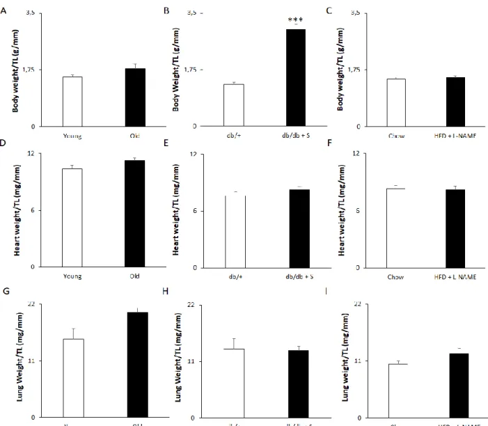 Figure 11. 1% salt treatment in db/db mice causes obesity. Aging and High Fat Diet with L-NAME treatment do not induce  obesity