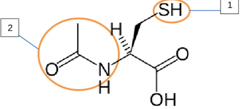 Figuur 6: uit Wikipedia, deze figuur toont de  chemische structuur van acetylcysteïne