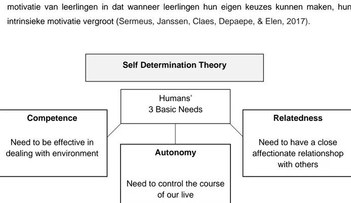 Figuur 5: Zelfdeterminatie theorie