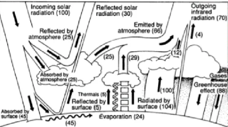 Figure 1 Greenhouse effect; values are percentages relative to the earth-average solar constant of ~340 W/m 2  [5] 