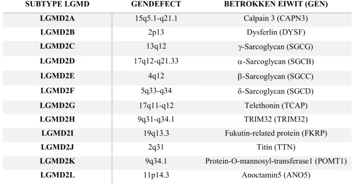 Tabel 1: De twaalf eerst gekarakteriseerde recessieve subtypes van LGMD2A tot 2L met hun bijhorend gendefect  en betrokken eiwit
