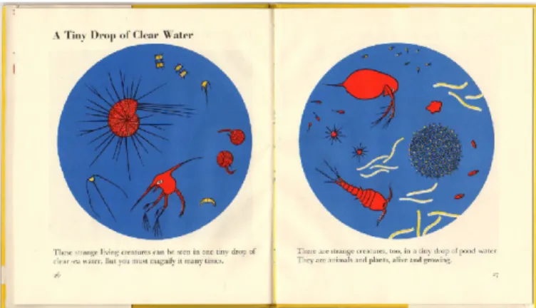 Figure 18. Marie Neurath, 1955. The wonder world of the  deep sea. 