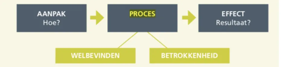 Figuur 7. Het Aanpak-Proces-Effect model (Laevers, 2016) 