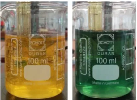 Figuur 9: Kleuromslag broomthymolblauw bij verschillende pH-waarde. Links pH 3.86 rechts pH 6.83 