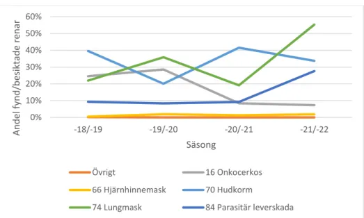 Figur 6: Beskriver andelen fynd av parasitära anmärkningar vid slakt av ren per antalet besiktade  renar  per  säsong  i  sameby  2  mellan  2018-2022