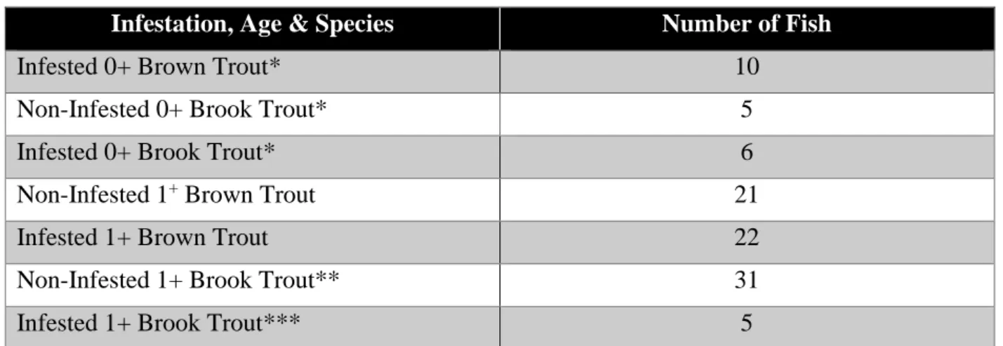 Table 1. Number of trout in every fish type group involved in the study. 