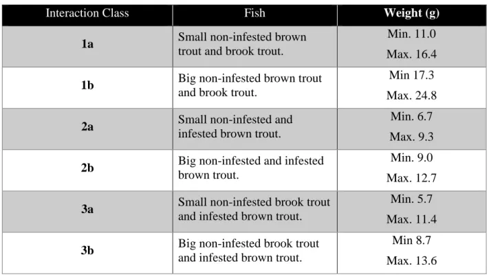 Table 2. Description of interaction classes.  