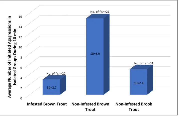 Figure 5. The average number of initiated aggressions in isolated groups of only infested brown trout, non-infested brown trout  and non-infested brook trout