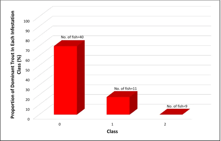 Figure 10. The proportion of subordinate and dominant individuals of each infestation class in the presence of food