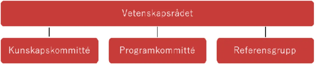 Figur 2.  Programmets organisation. 