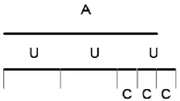 Figur 5. En schematisk bild av A = xU + (mC/nC)U, där x är antalet hela U, m är det antal C som       behövs för att jämförelsen ska bli exakt A och n är totala antalet C som U delas i.