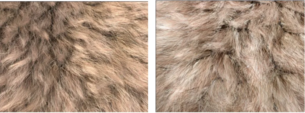 Figure 8. Left image: fur with Mental Ray and right image: fur with Maya Software. 