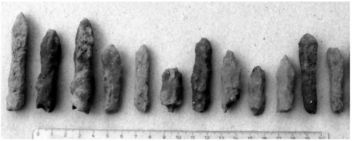 Fig. 5. Armborstpilspetsar  funna i augusti 2008. Foto Maria Lingström. —Crossbow bolts found in August 2008.