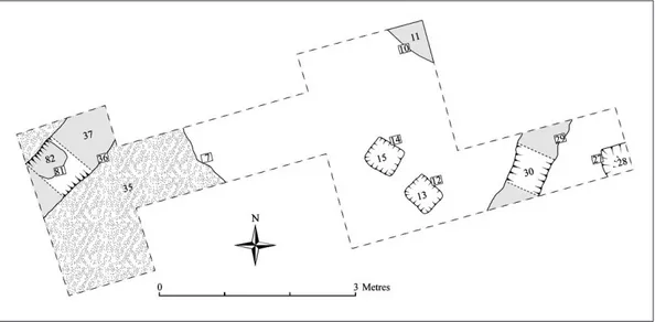 Fig. 7. Scutchmer Knob, Berkshire, England. Plan of Trench C showing post-Roman structure.