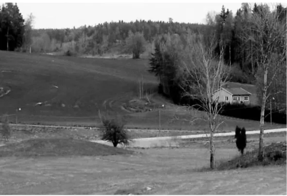 Fig. 2. The “thing mound” at Aspa Löt, Södermanland, Sweden.