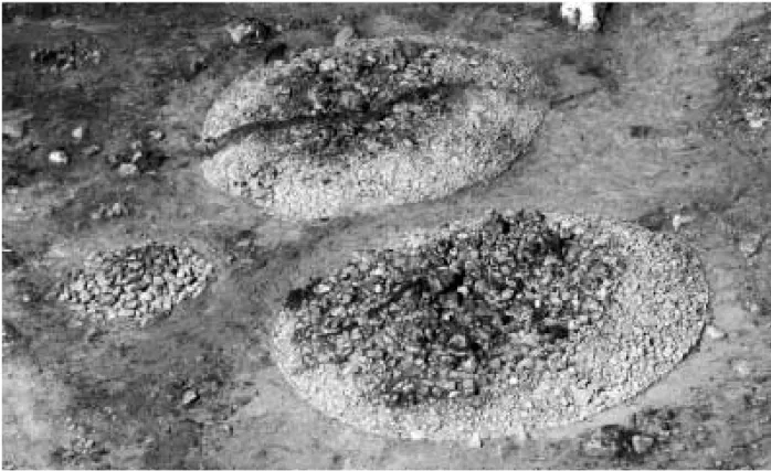 Fig. 2. De tre större och på gravfältet centrala gravarna. Närmast i bild ses kammargraven