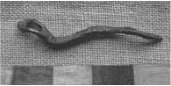 Fig. 1. Silver pin found in culture layer with copper- copper-alloy casting debris. Current length 38 mm
