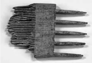 Fig. 5. Träkam hittad i jord från Stu- Stu-dentholmen (UMF/B 1426), trol. 1300-talet.