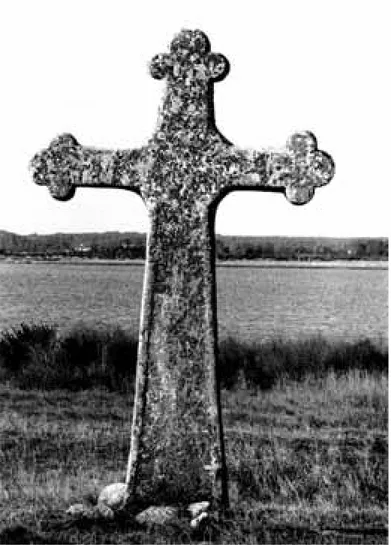 Fig. 3. Korset på Kapelludden/ Sikavarp, Bredsätt ra socken. Det 3,2 m höga korset är hugget i Köpings klint i början av  1200-talet och slogs sönder i en orkan i januari 2007