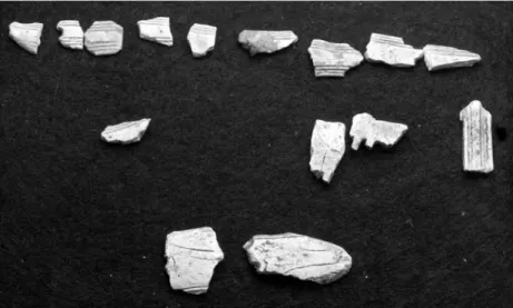 Fig. 10. Kamfrag- Kamfrag-ment från grav A15. Foto J. Hamilton.  — Comb fragments from grave A15.