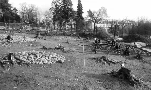 Fig. 1. Pågående undersökning av Tomtebodagravfältet hösten 2001. Foto J. Hamilton.  —Excavations at the Tomteboda cemetery, autumn 2001.