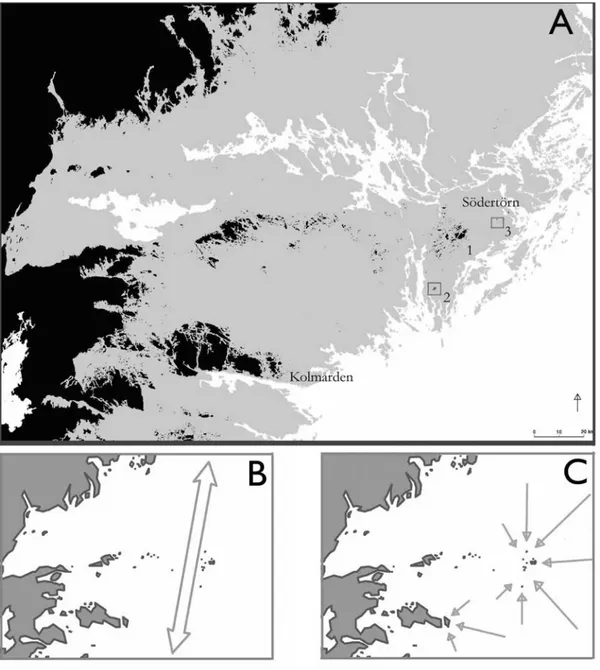 Fig. 3. Karta A: Östra Mellansverige med strandlinje 75 m över dagens, motsvarande en tidpunkt ca 7600 cal  BC (8500 BP) för Södertörn, men generellt yngre i norr och äldre i söder p.g.a