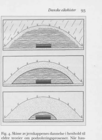 Fig. 4. Skisse av jernkappenes danndse i henhokl lil  eldre teorier om pjidzoleringsprosesser