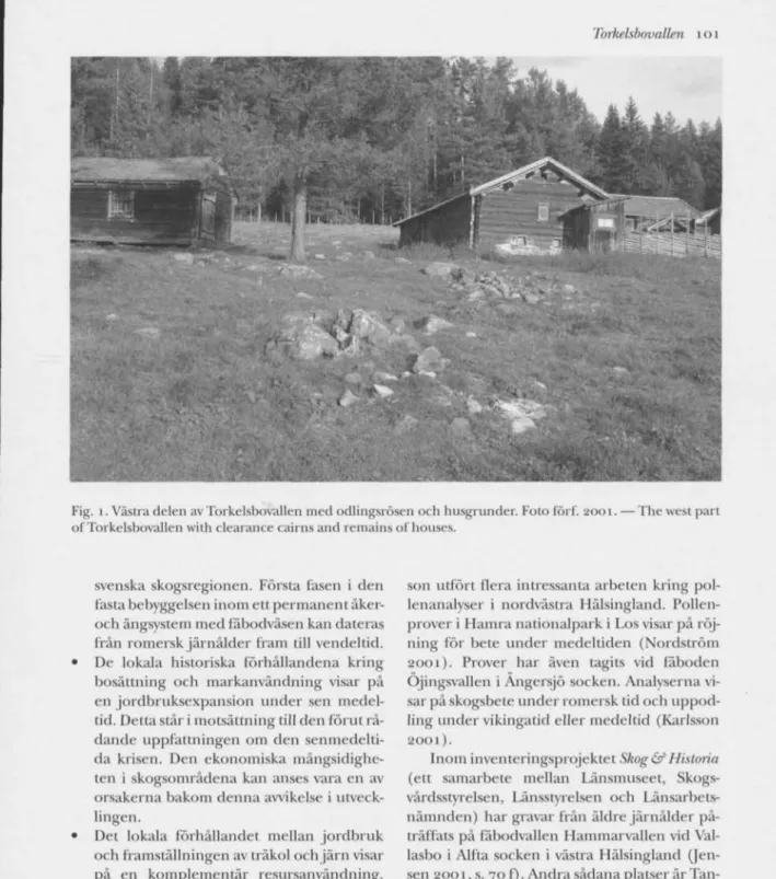 Fig. i. Västra delen av Torkelsbovallen med odlingsrösen och husgrunder. Foto förf. 2001