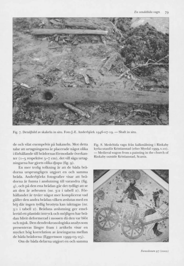 Fig. 7. Detaljbild av skakeln in situ. Foto J.-E. Anderbjörk 1946-07-19, — Shaft in situ