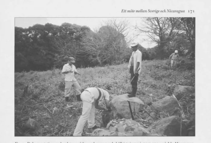 Fig. 1. Dokumentation av boplatsomräde med gravar och hällristningar i mars 1995 på Isia Mancarron,  Nicaragua