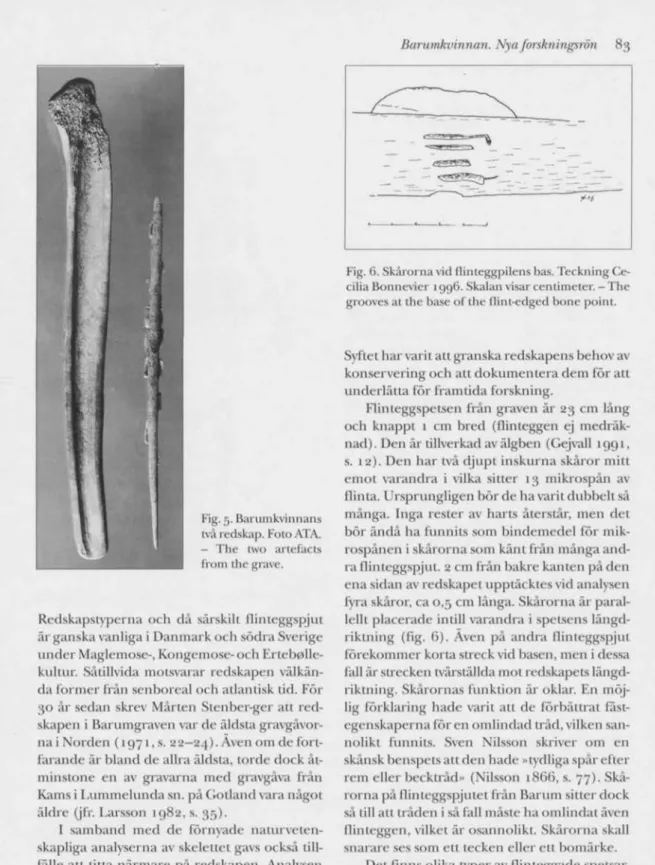 Fig. 5. Barumkvinnans  två redskap. Foto ATA.  - The two artefacts  from the grave. 