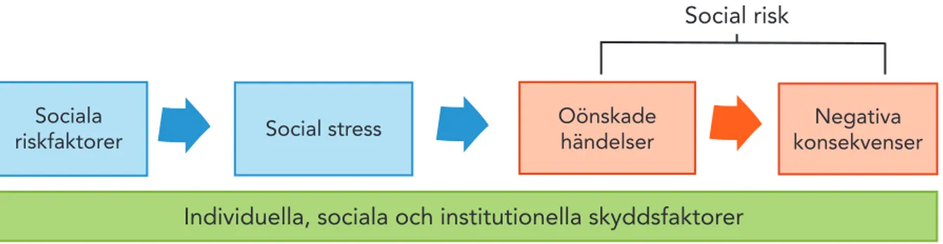 Figur 2.3. Schematisk översikt av samband mellan sociala risk- och skyddsfaktorer, social stress, och sociala risker