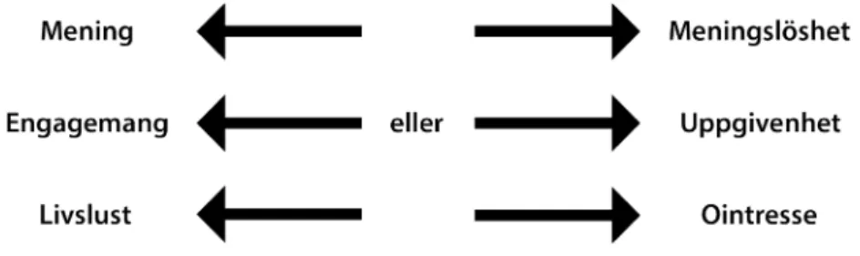 Figur 3. Olika poler av meningsfullhet.